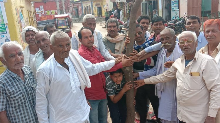 सकट में वैदिक मंत्रोच्चारण के साथ होली के डांडे का किया गया रोपण