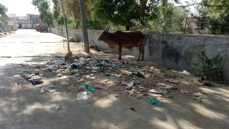 नियमित बोर्डं बैठक नहीं होने व कस्बे में बिगड़ी सफाई व्यवस्था से गुस्साएं पार्षदों ने ईओ को सौंपा ज्ञापन