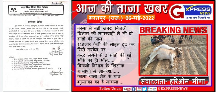 खबर का असर: विद्युत विभाग की लापरवाही के चलते 2 सांडो की मौत, खबर चलने के बाद कर्मचारियों की खुली कुंभकरण नींद, लाइनमैन निलंबित