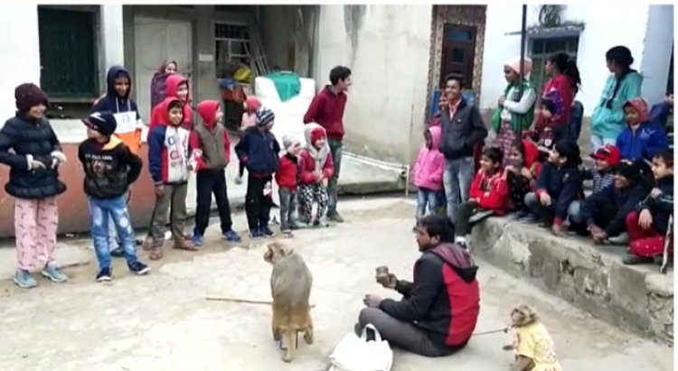 प्रशासन का नही भय: मनोरंजन के लिए वन्यजीवों को पकड बना रखा कैदी, गाँव गाँव दिखा रहे खेल