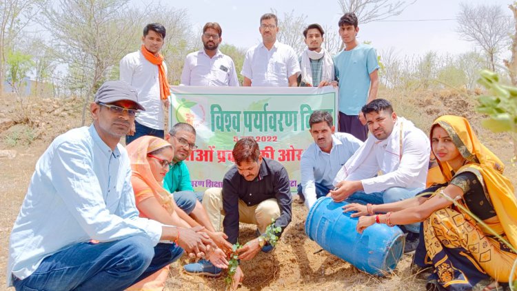 वनों का विकास पर्यावरण के लिए जरूरी- मीणा