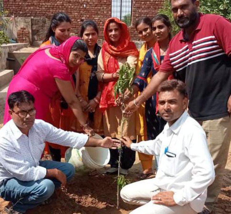 धरा को हरा-भरा रखने हेतु बरसात के मौसम में किया पौधारोपण