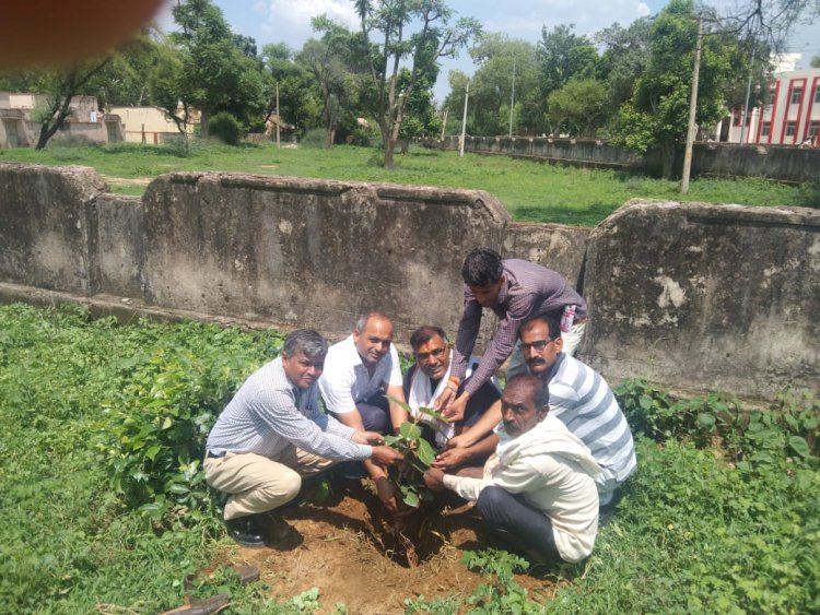 वन सम्प्रदा मानव जीवन की प्राणदाता:पौधा लगाओ-मानव जीवन बचाओ अभियान की शुरूआत