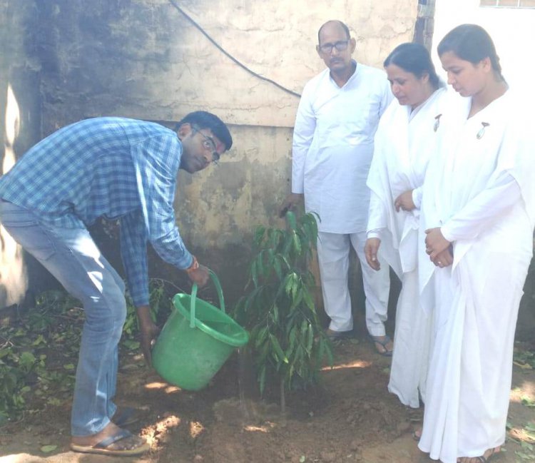 ओमशांति प्रजापिता ब्रह्मकुमारी ईश्वरीय विश्वविधालय सेवा केन्द्र पहाड़ी की ओर से रक्षा सूत्र बांधवाकर किया  गया वृक्षारोपण