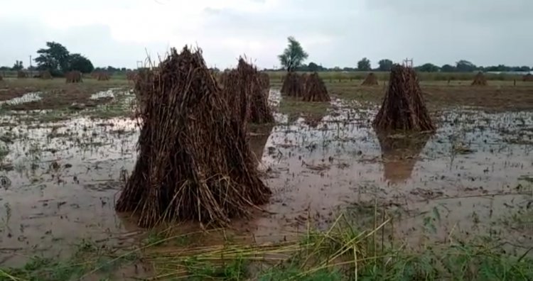 तीन दिन से लगातार हो रही बारिश से किसानों के चेहरों पर चिंता की लकीर