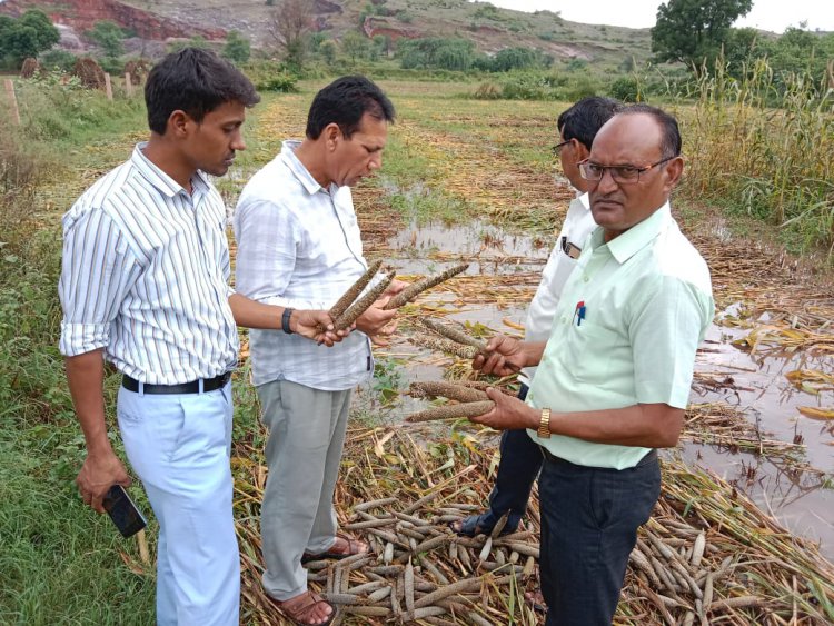 फसल खराबे को लेकर उपखंडाधिकारी ने ली पटवारी, गिरदावर व कृषि पर्यवेक्षकों की मीटिंग: मौके पर जाकर नुकसान का किया सर्वे