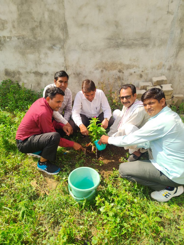 प्रधानमंत्री के जन्म उत्सव के उपलक्ष्य में सेवा समर्पण पखवाड़े के अन्तर्गत किया वृक्षारोपण