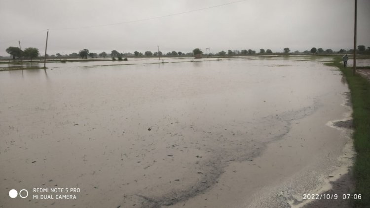 तीन दिन से हो रही बारिश बनी आमजन के लिए आफत:  बने बाढ जैसे हालात