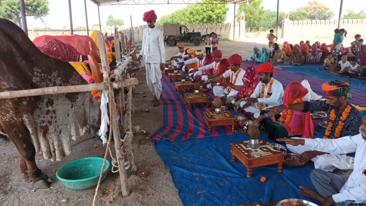 गौमाता के बिना हिन्दुत्व ही अधूरा - दाताश्री