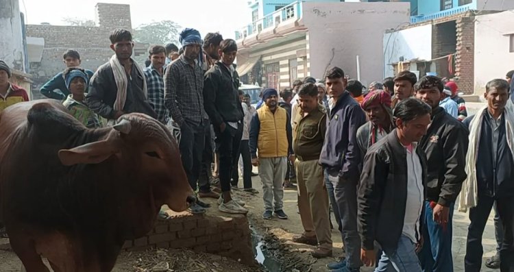 गोविंदगढ़ क्षेत्र मे बढ़ रहा असामाजिक तत्वों का आतंक: शिवजी के बाद नंदी को बनाया निशाना, नन्दी को किया घायल