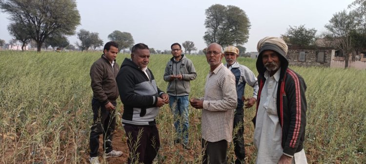 शीतलहर व पाले पडने से खराब हुई फसल की राजस्व कृषि विभाग की टीम ने की गिरदावरी