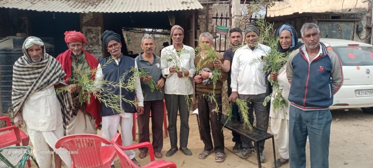 चंवरा चौफूल्या में पाले से खराब फसलो की सही गिरदावरी करवाने की मांग को लेकर किसानो की हुई बैठक