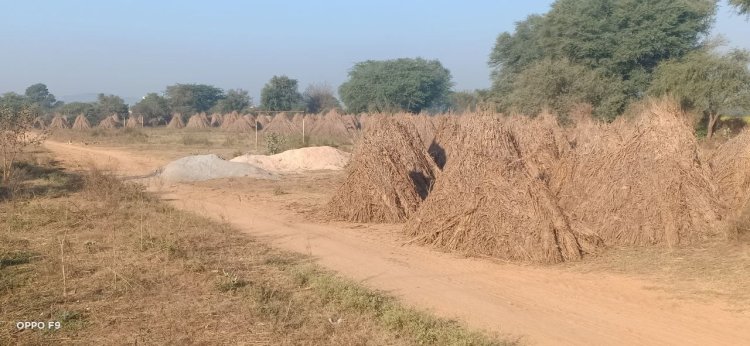 अलवर जिले के अधिकतर स्कूलों में नहीं खेल मैदान: कैसे तैयार होंगे खिलाड़ी, बस्ते के बोझ के नीचे दबे स्कूली विधार्थी