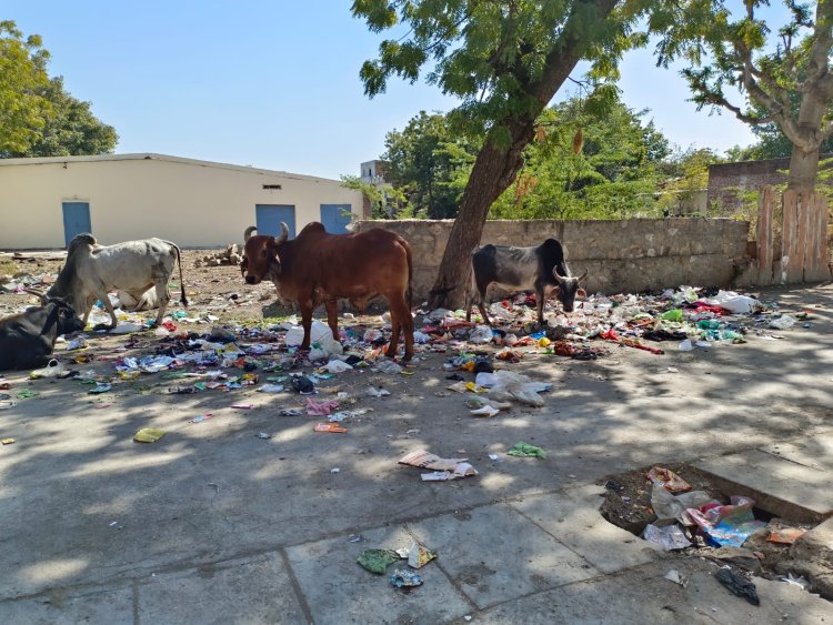 भ्रष्टाचार का अड्डा बना सुमेरपुर नगर पालिका - शैतान कुमार