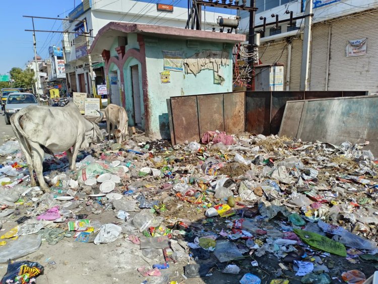 भ्रष्टाचार का अड्डा बना सुमेरपुर नगर पालिका - शैतान कुमार