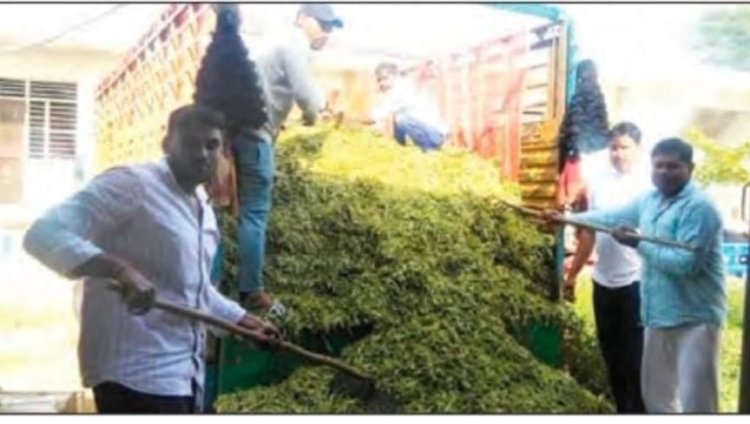 गौ माता की सेवा सबसे बड़ी सेवा,गौवंशों की मदद के लिए आगे आएं : महंत सीमा बाई