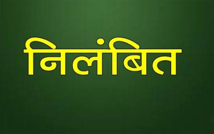 मंदिर माफी की जमीन के मामले में तहसीलदार निलंबित:राजस्व रिकॉर्ड में गंभीर हेराफेरी के आरोप