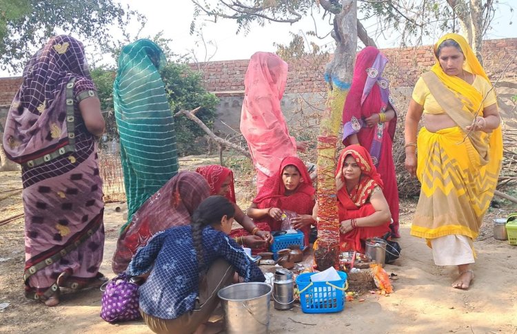 आंवला एकादशी पर्व पर महिलाओं ने आमले वृक्ष की पूजा अर्चना कर दी परिक्रमा