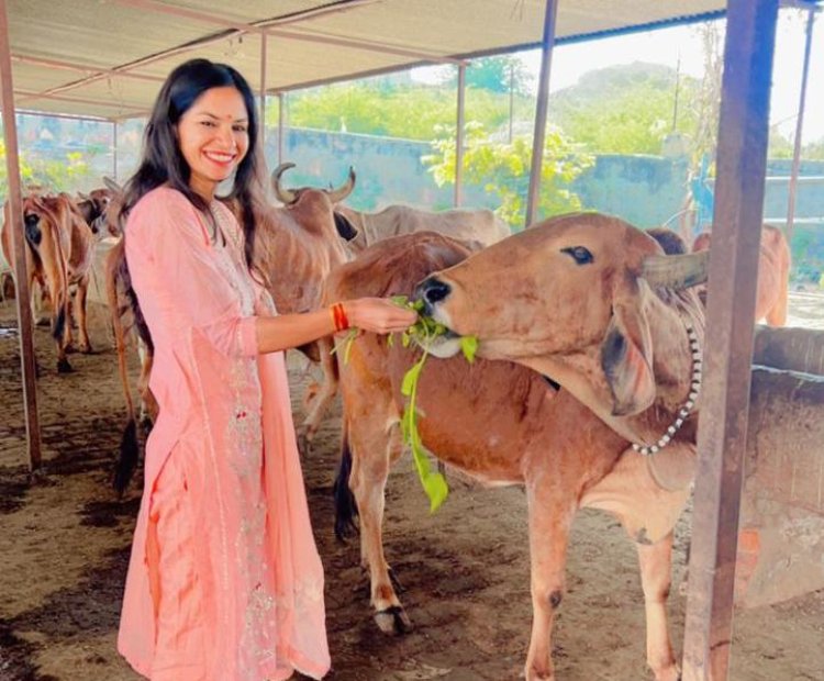 गौशाला में गुड़ हरा चारा खिलाकर मंदिरों में प्रार्थना कर समाजसेवी  ने मनाया अपना जन्मदिन