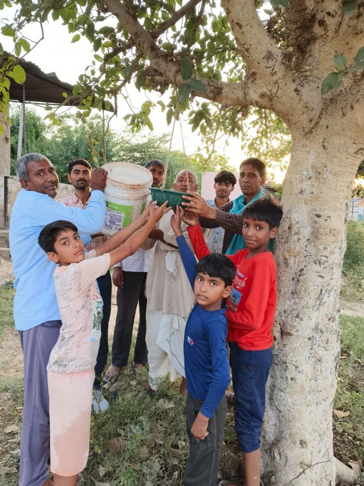 नारायणपुर धामेड़ा रोड पर स्थित राजकीय उच्च माध्यमिक विद्यालय मोरडी में पक्षियों के लिए लगाए गए परिंडे