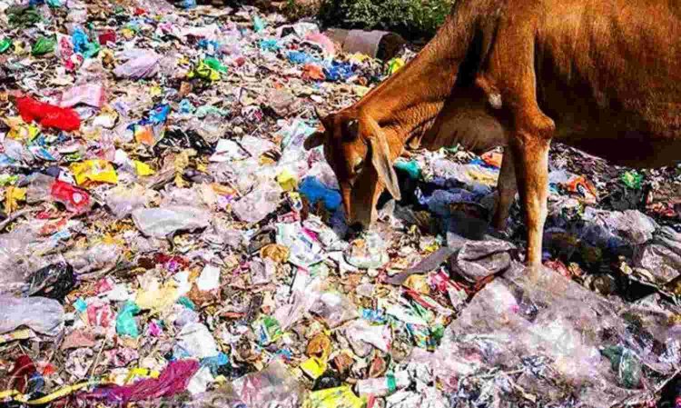 आज विश्व पर्यावरण दिवस :प्लास्टिक कैरी बैग पर लगे प्रतिबंध---मंगल चंद सैनी पूर्व तहसीलदार