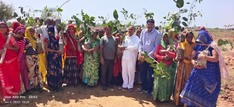 विश्व पर्यावरण दिवस पर लगाये 400 पोधै