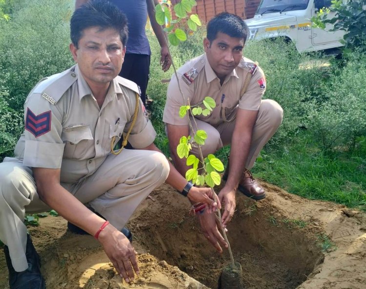 विश्व पर्यावरण दिवस पर पेड़ लगाकर थाना प्रभारी नारायणपुर ने दिया हरियाली खुशहाली का संदेश