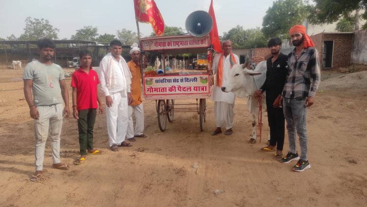 गौमाता को राष्ट्र माता का दर्जा दिलाने के लिए चित्तौड़गढ़ से दिल्ली राष्ट्रपति भवन तक पैदल यात्रा: 700 km चलकर पहुंची भिवाड़ी