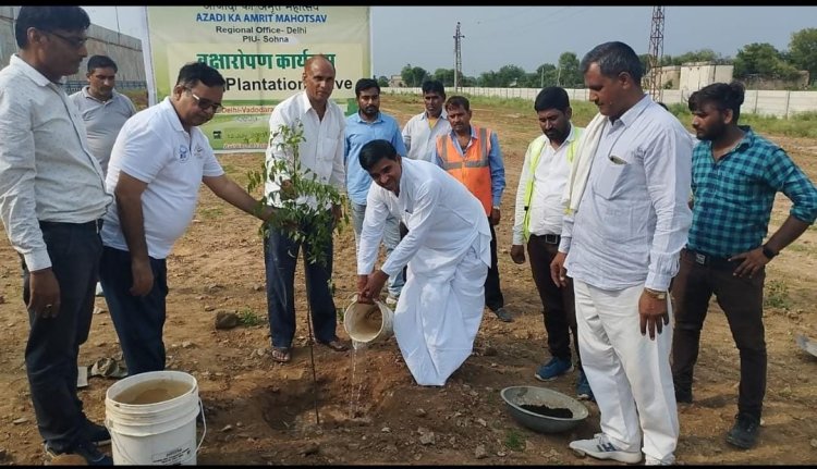 अमृत महोत्सव कार्यक्रम मे रैणी प्रधान प्रतिनिधी  के सानिध्य मे दिल्ली-मुम्बई एक्सप्रेस हाई-वे पर 1321 पौधे लगाए