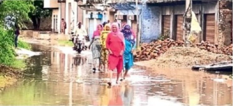 नाले के पानी में पनप रहे मच्छर,लोग बीमार :जल निकासी नहीं होने से आवागमन भी हो रहा प्रभावित