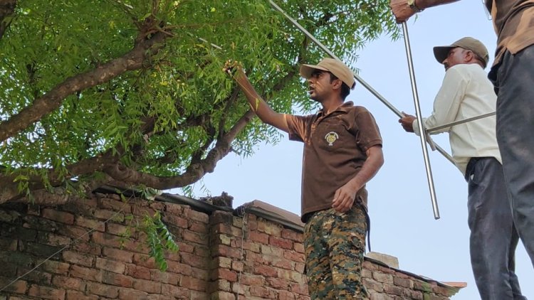 वन विभाग की टीम ने गांव मौरदा से 12 फीट अजगर को  किया रेस्क्यू