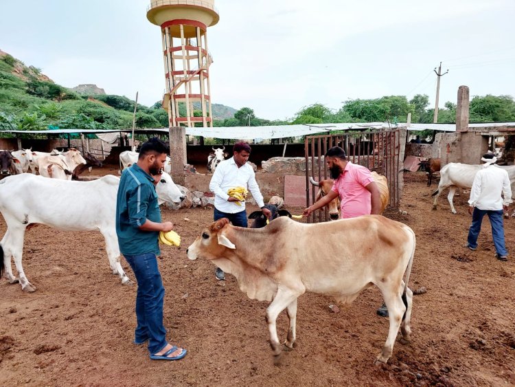 भाजपा नेता व सर्व समाजसेवी समय सिंह जाटव ने अलीपुर गौशाला का किया निरीक्षण