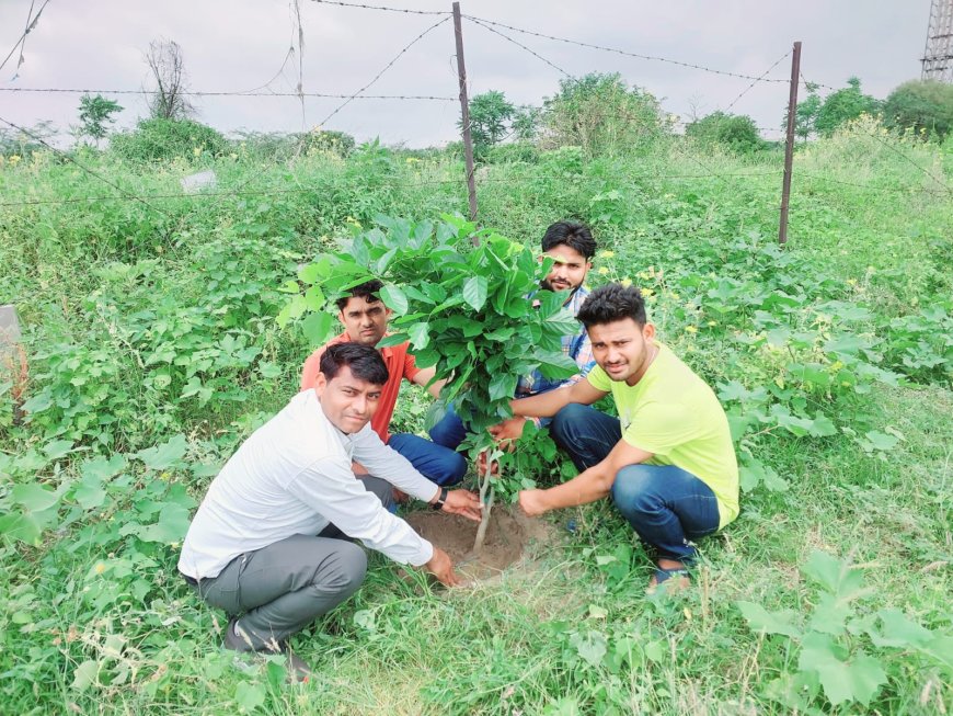 वृक्ष ही धरती का श्रृंगार: सर्व समाजसेवी व भाजपा नेता समय सिंह जाटव ने किया वृक्षारोपण कार्यक्रम