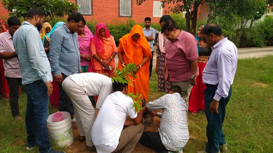 पेड़ लगाने से पर्यावरण को संरक्षण मिलने के साथ ही संस्थान की नींव भी मजबूत होगी - मधुकर गुप्ता