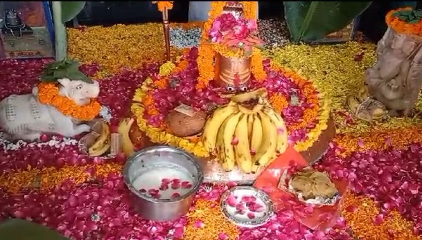 सदाशिव महादेव मंदिर में हुआ 1008 सहस्त्रधारा जलाभिषेक, हर हर महादेव के जयकारों से गूंज उठा शिवालय