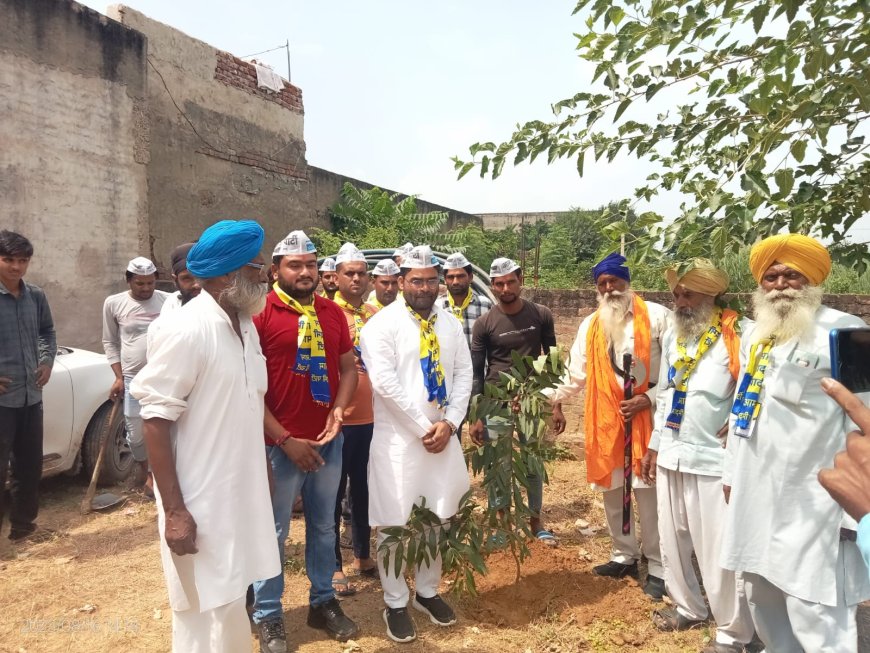 तिजारा में आम आदमी पार्टी के यूथ प्रदेश उपाध्यक्ष मौसम खान के नेतृत्व में वृक्षारोपण कर व केक काटकर केजरीवाल का मनाया जन्मदिन