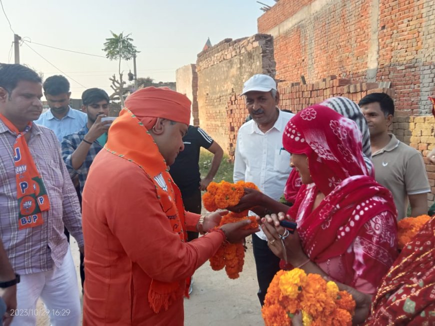 भाजपा प्रत्याशी महंत बालक नाथ योगी ने विधानसभा के कई गांवों का किया तूफानी दौरा