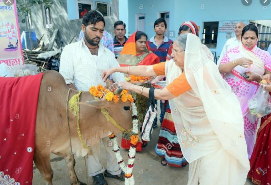 लक्ष्मणगढ़ में  श्रद्धा पूर्वक मनाया गया गोपाष्टमी पर्व