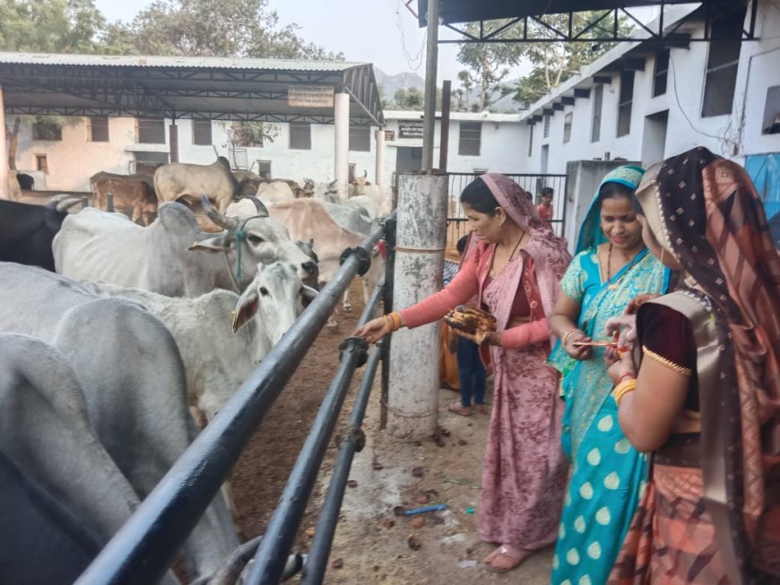 गोपाष्टमी के पर्व पर श्रीकृष्ण गौशाला परिसर में हुई गायों की पूजा: निकाली शोभायात्रा