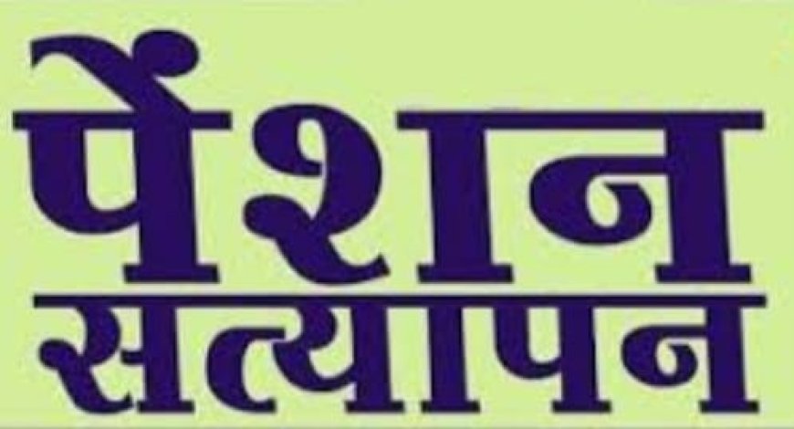 पेंशनरों को 31 दिसंबर तक करवाना होगा भौतिक सत्यापन :सामाजिक सुरक्षा योजना से जुड़े पेंशनर्स का भौतिक सत्यापन जरूरी