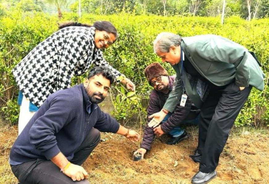 वरिष्ठ नागरिक मंच ने किया वृक्षारोपण