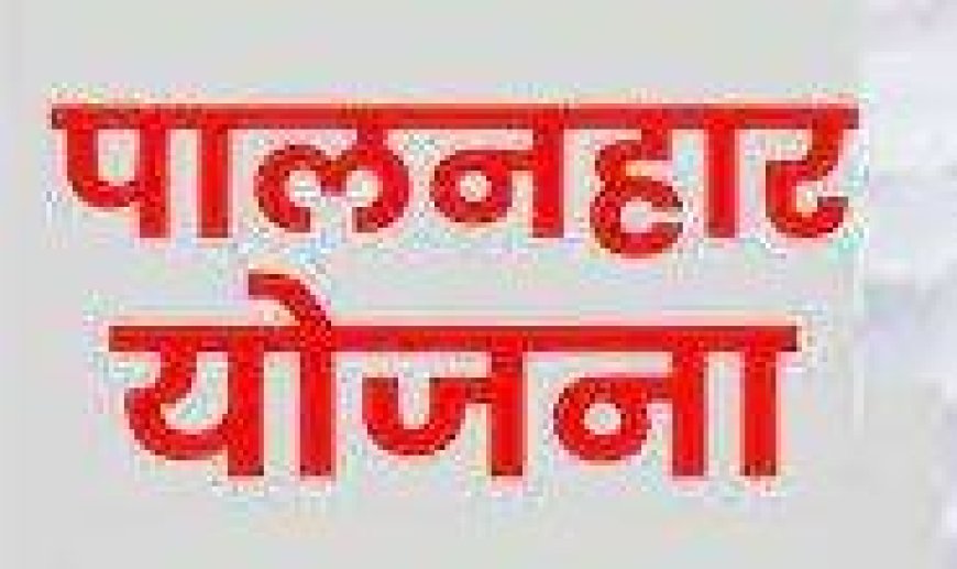 पालनहार योजना में करायें 31 जनवरी तक सत्यापन