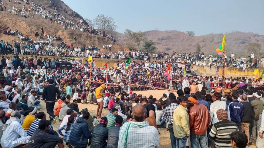 सालिमपुर मैं  कुश्ती दंगल प्रतिभाओं को निखारने में भामाशाह आगे आए डॉक्टर किरोडी लाल मीणा