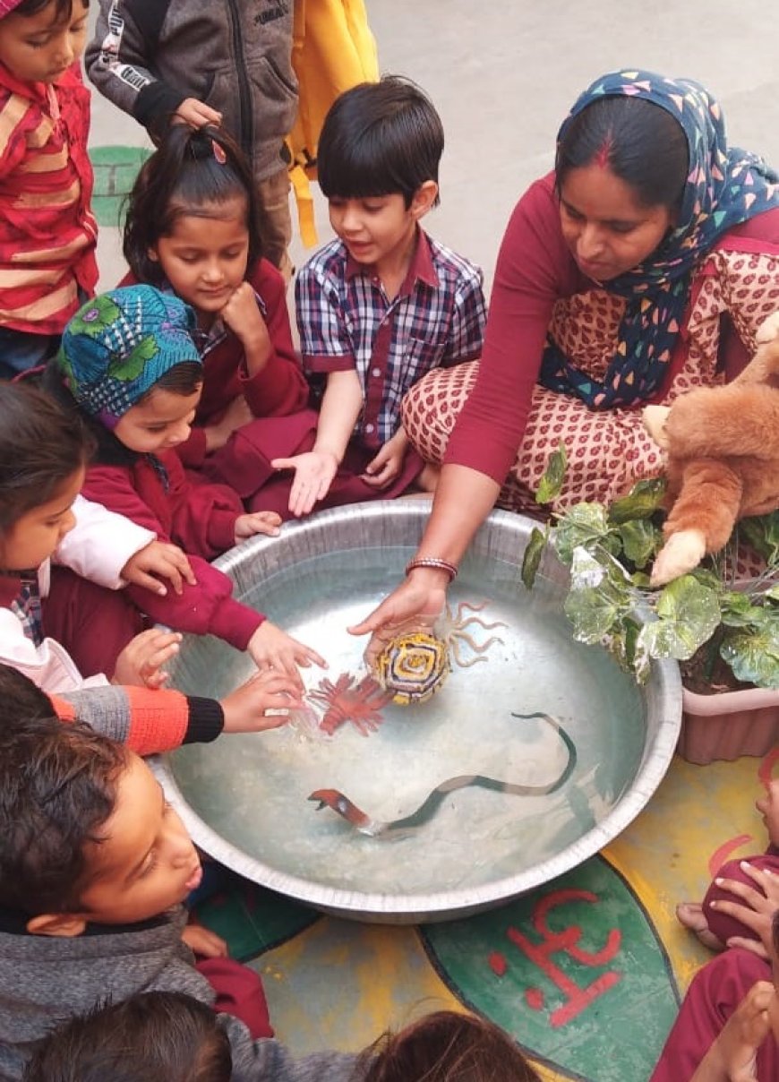 शिशु वाटिका आदर्श विद्या मंदिर में भैया बहनों को दी जलीय जीवों की जानकारी