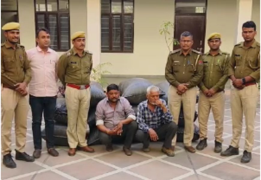 सरसिया गांव के पास 203 किलो अवैध डोडा चूरा सहित दो आरोपी चढ़े पुलिस के हत्थे: क्रेटा कार जप्त