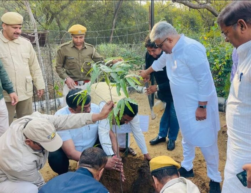 केंद्रीय मंत्री  भूपेंद्र यादव एवं वन एवं पर्यावरण मंत्री ने पौधारोपण कर दिया पर्यावरण संरक्षण का संदेश