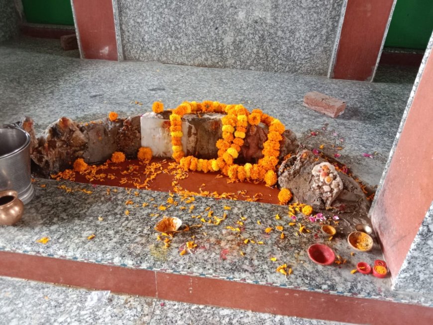 शीतलाष्टमी पर्व पर श्रद्धालुओं ने शीतला माता के लगाई धोक मांगी मन्नत