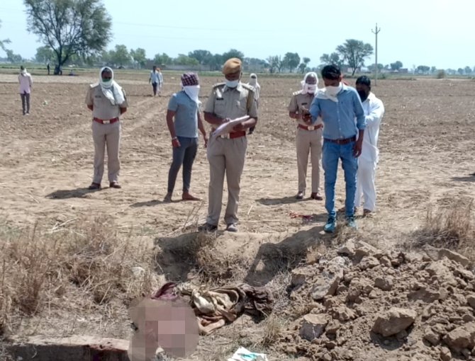 गोविन्दगढ़ क्षेत्र में गौकशी की घटनाओं पर नही लग रही लगाम