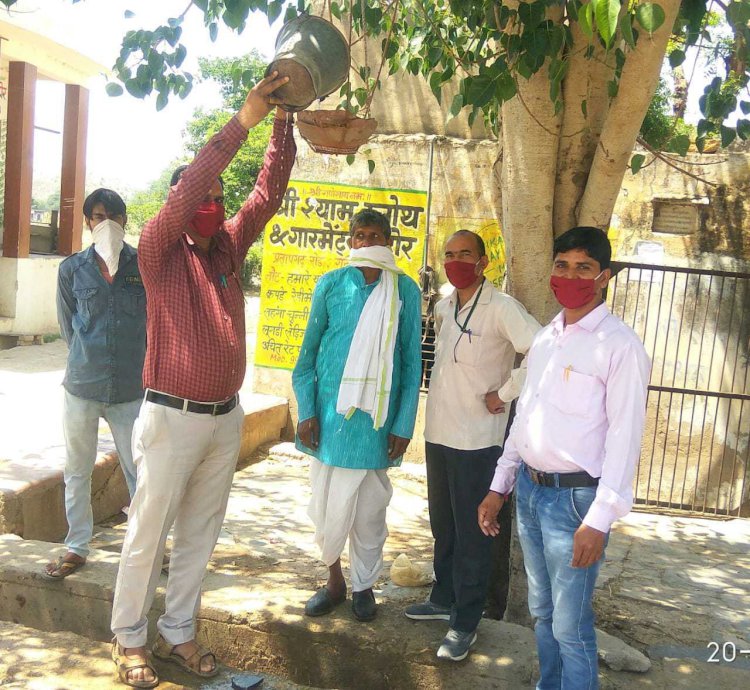 ग्राम स्तरीय कोरोना कमेटी ने बेजुबान पक्षियो के लिये परिण्डे लगाये