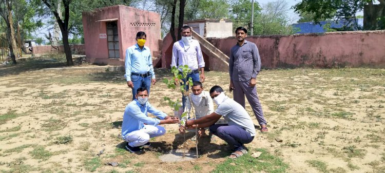 विश्व पर्यावरण दिवस पर पौधे लगाकर दिया प्रकृति बचाने का संदेश